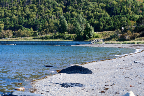 Saison,Été,Eau,Plage,MRC Haute-Gaspésie,Région,Mont-Louis,Jour,Temps
